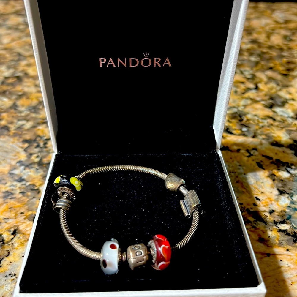 Pandora charm bracelet